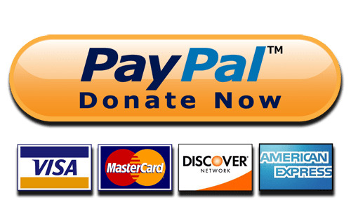 donate-now-paypal-and-cards-button